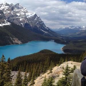 Meet your Posher, Aamir